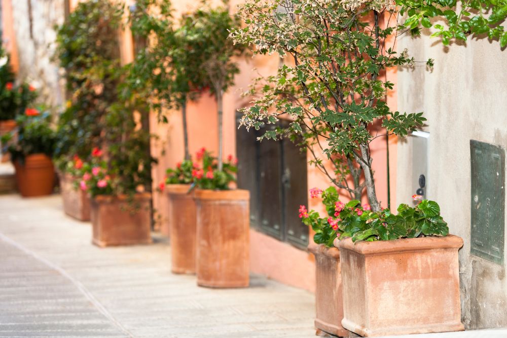 Nafplio stay, ναυπλιο παλια πολη